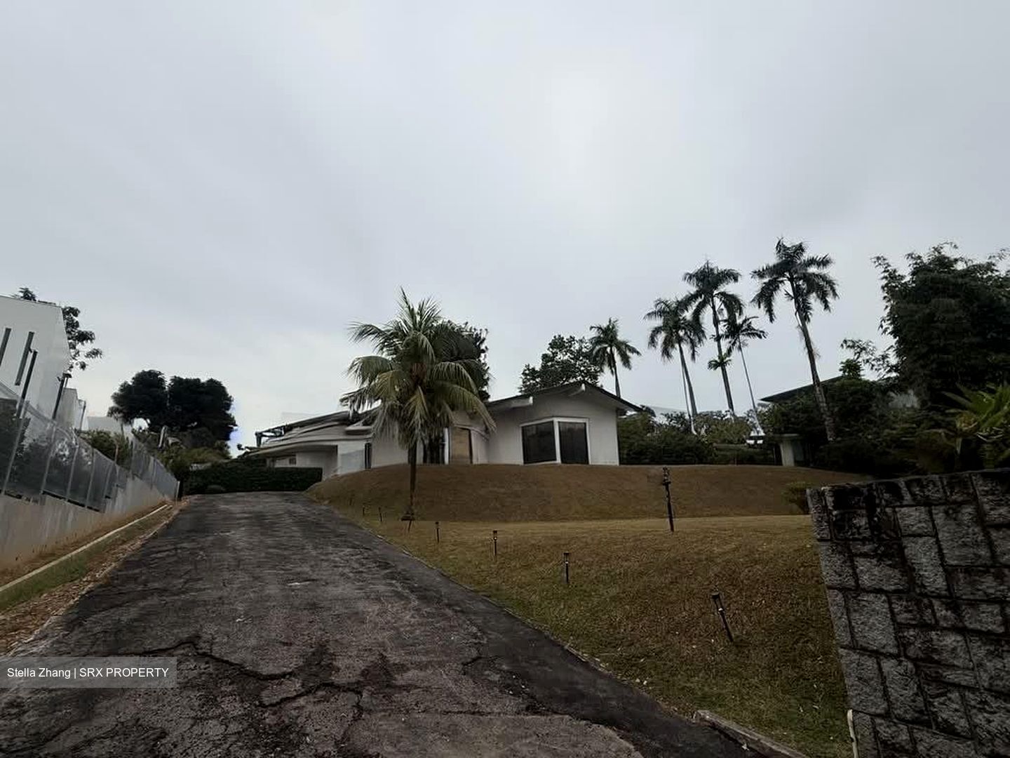Leedon Park (D10), Detached #543494441